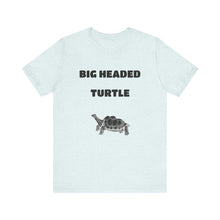 Charger l'image dans la galerie, Big Headed Turtle
