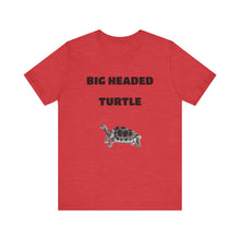 Charger l'image dans la galerie, Big Headed Turtle
