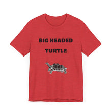 Charger l'image dans la galerie, Big Headed Turtle