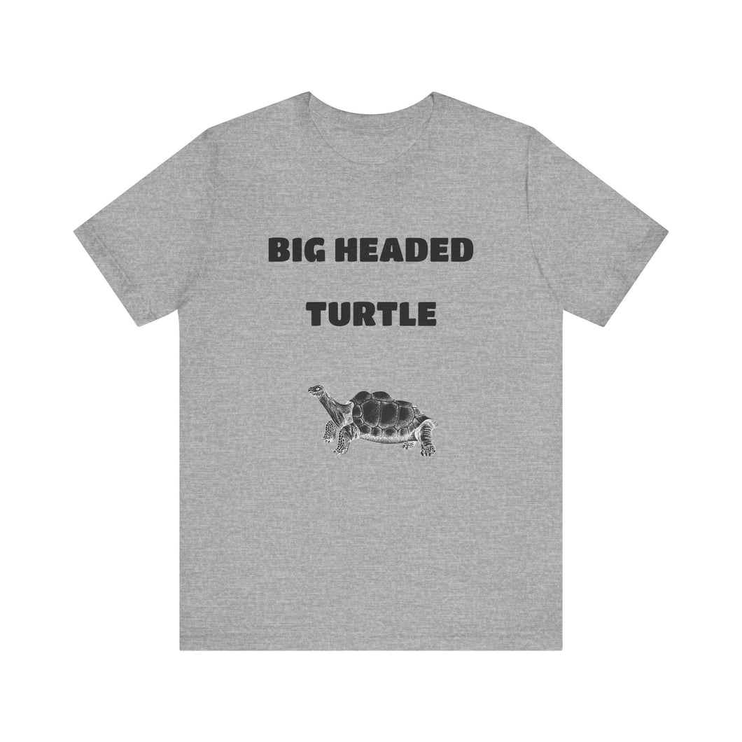 Big Headed Turtle